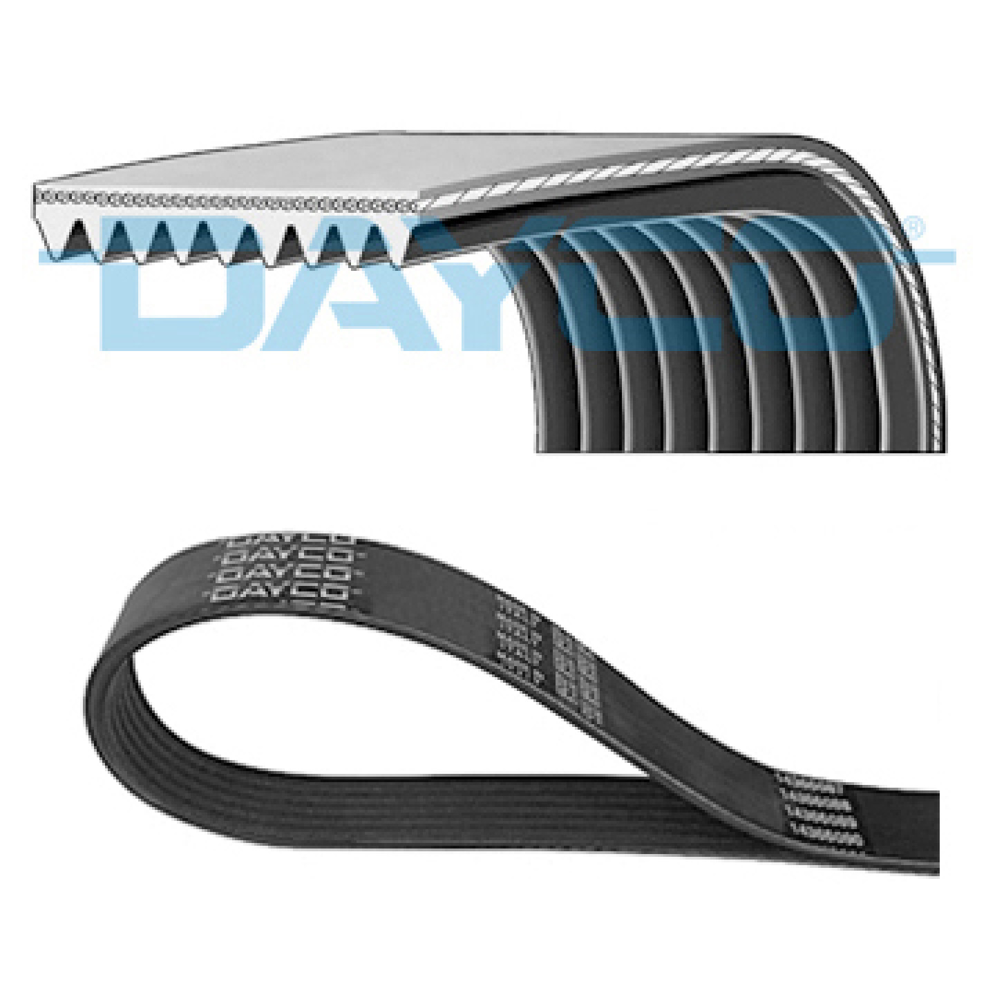 V-snaren DAYCO 9PK2835HD