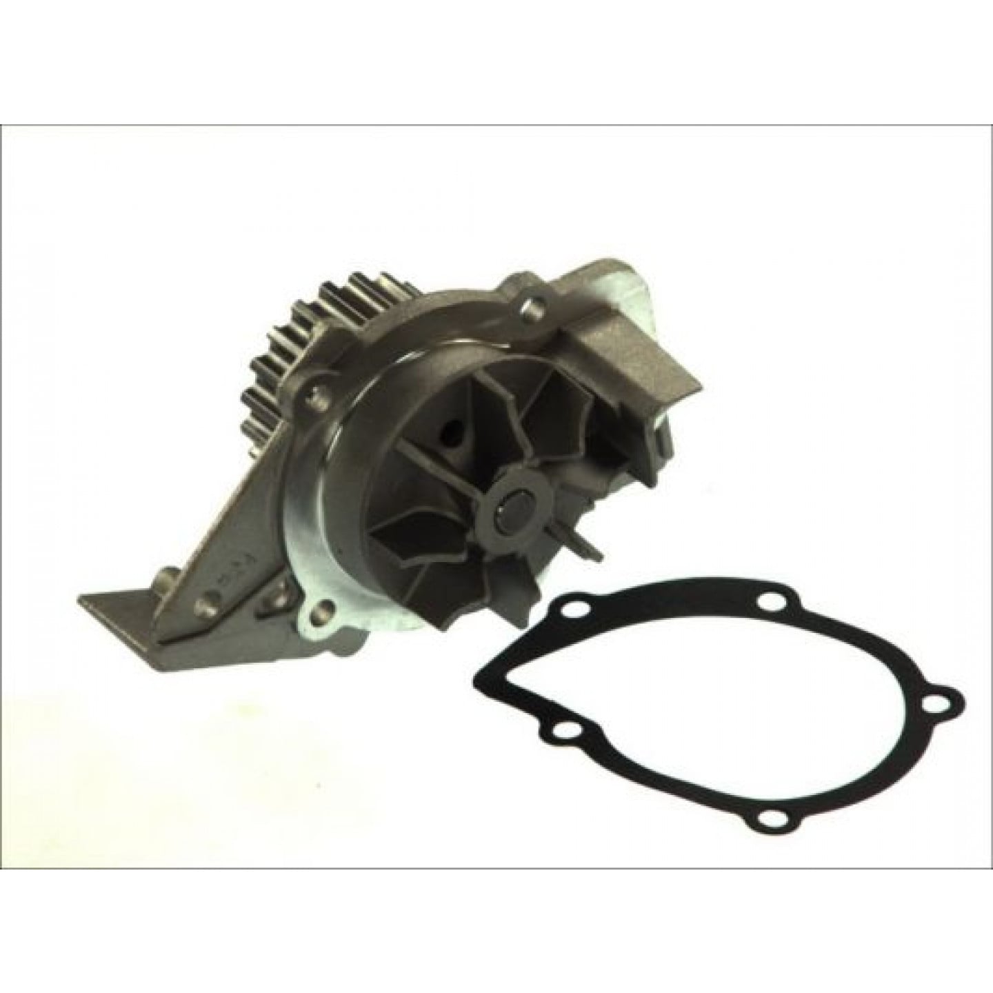 Pompe à eau THERMOTEC D1P045TT