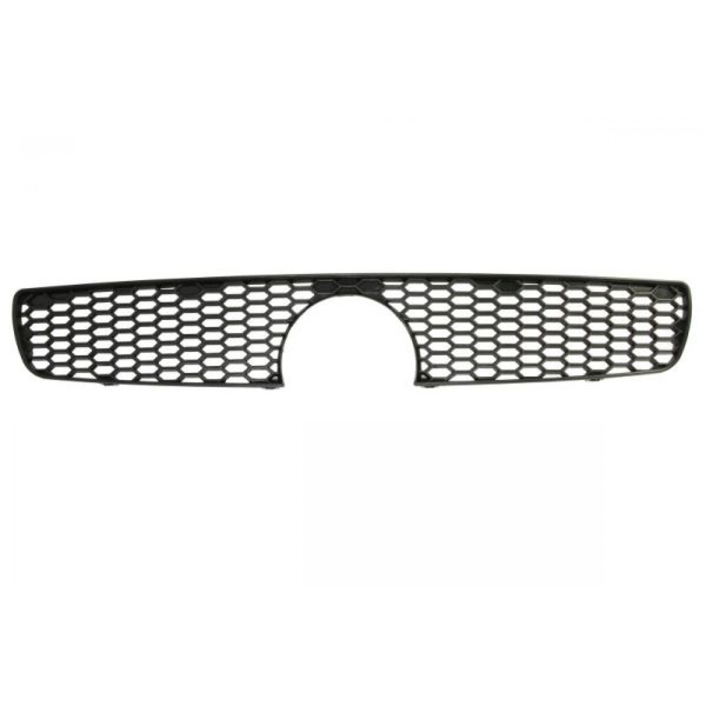 Grille de radiateur BLIC 6502-07-2043990P