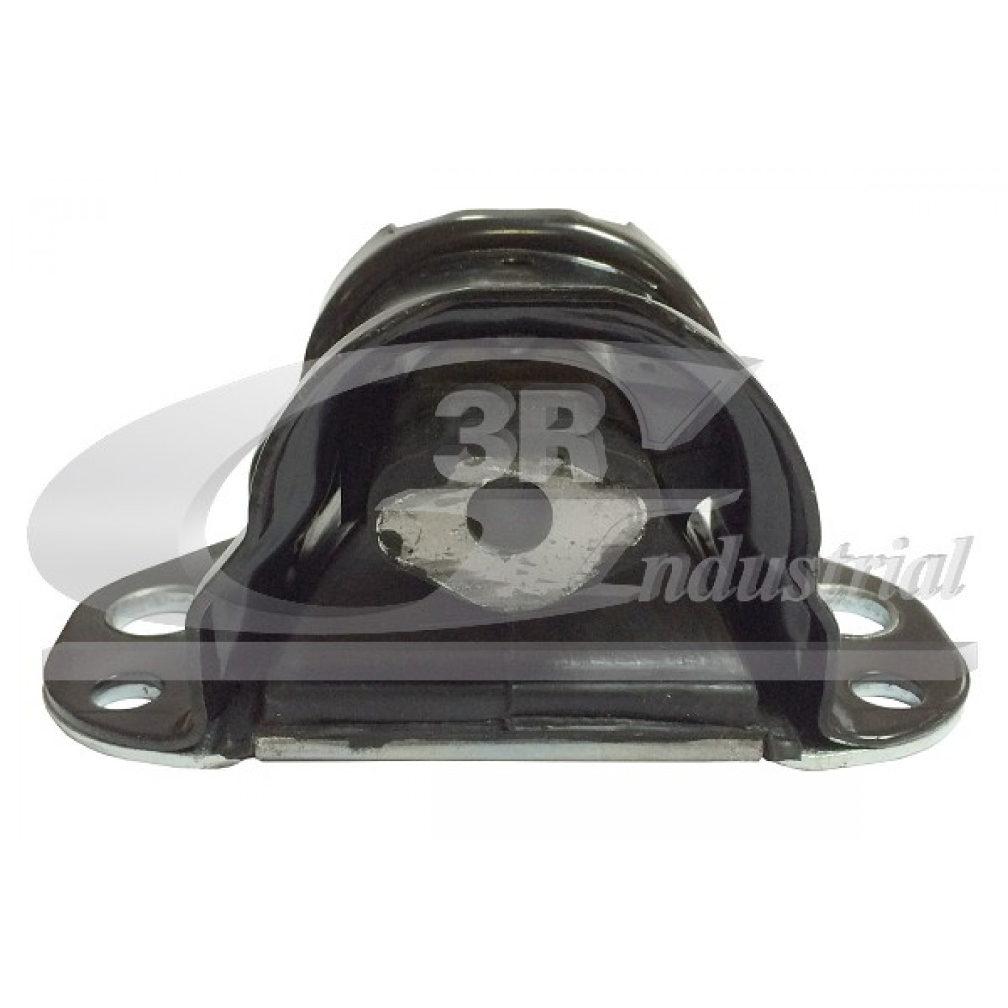 Montagem do motor 3RG 40691