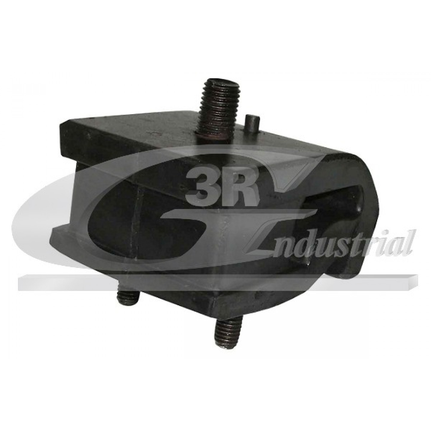 Upevnění motoru 3RG 40704