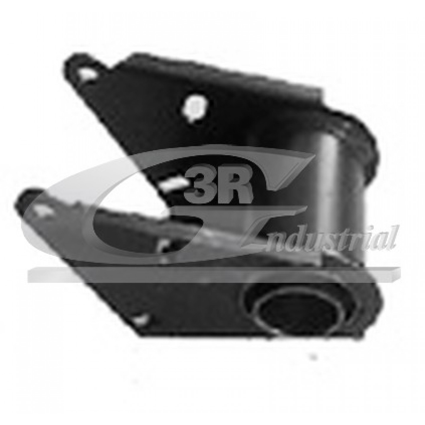 Supporto ammortizzatore a molla 3RG 45617