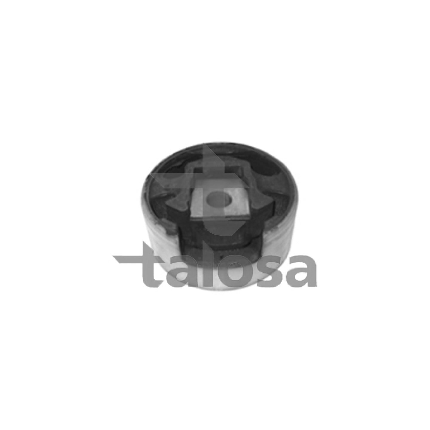 Upevnění motoru TALOSA 61-05279