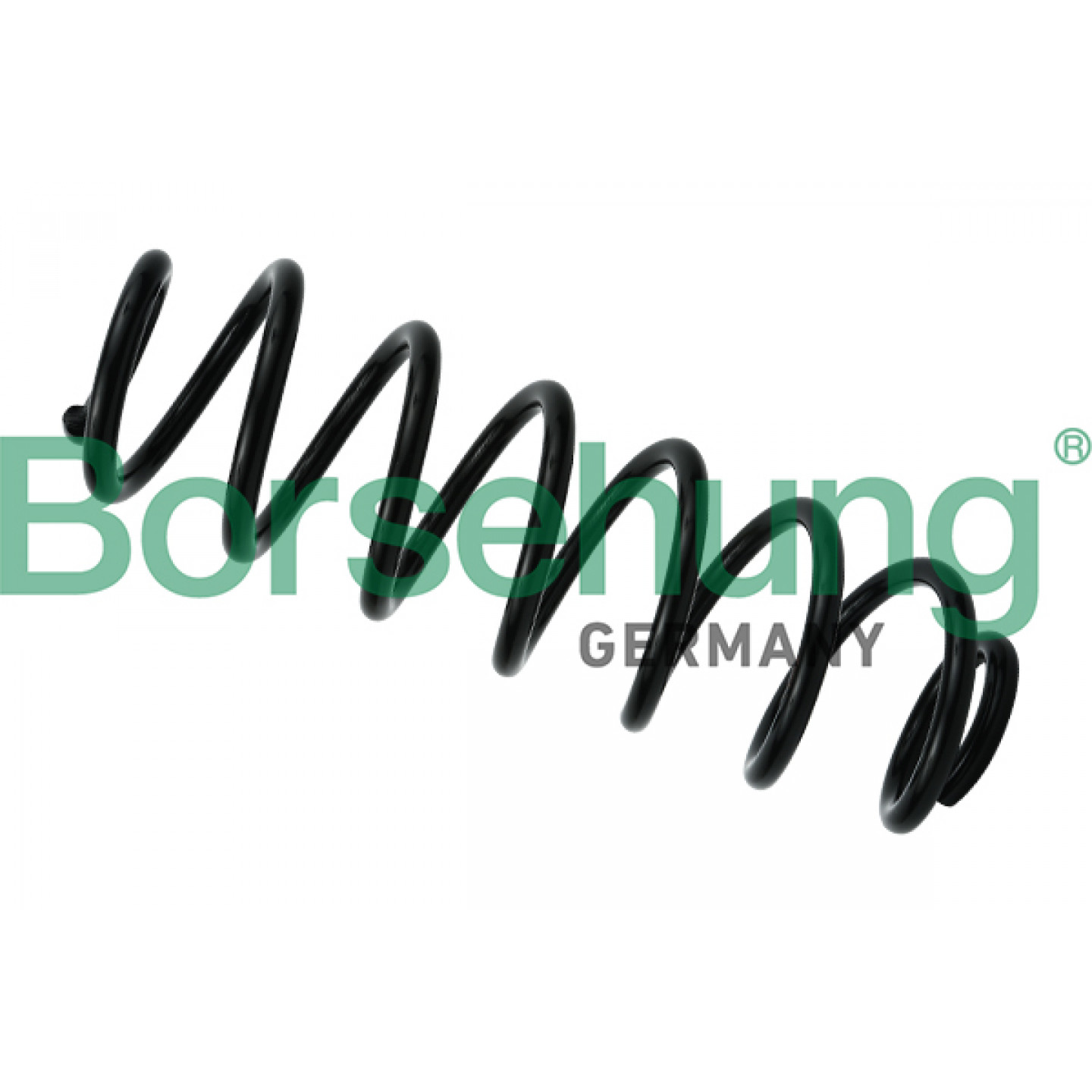 Spiralfeder Borsehung B12624