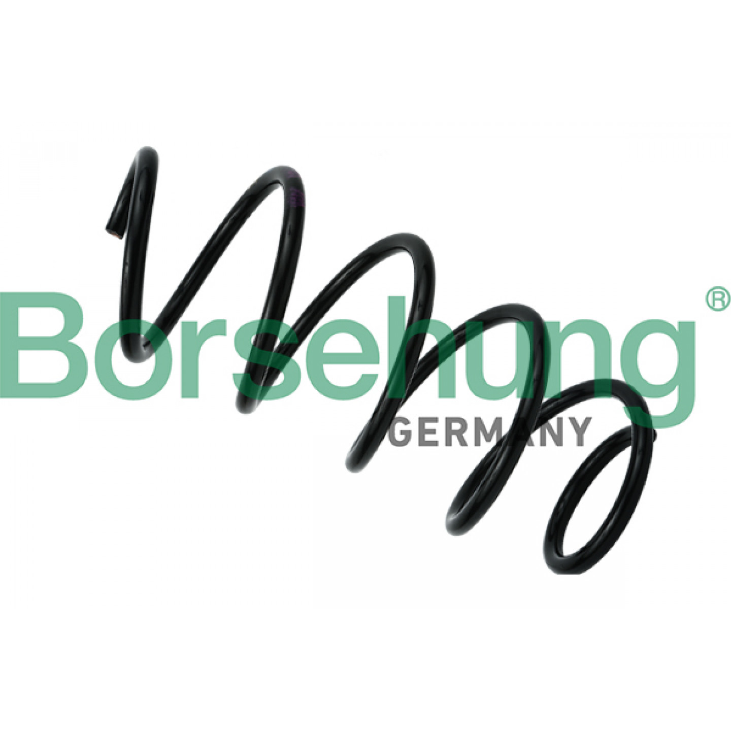 Spiralfeder Borsehung B12620