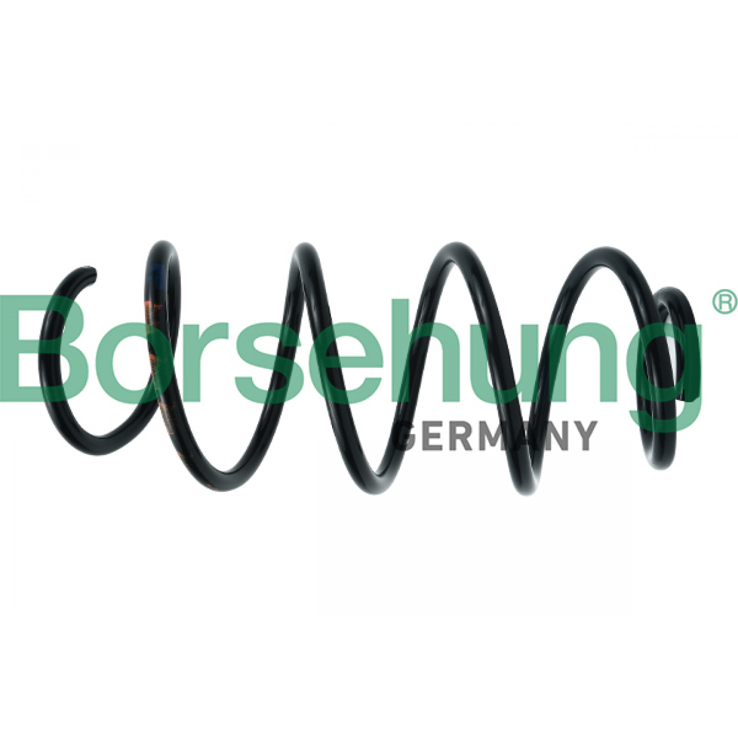 Spiralfeder Borsehung B12561