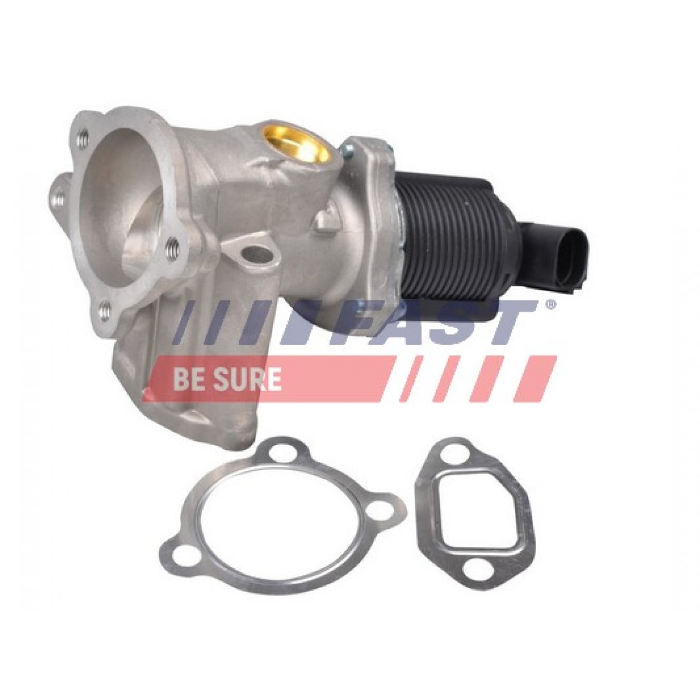 Válvula EGR FAST FT60228