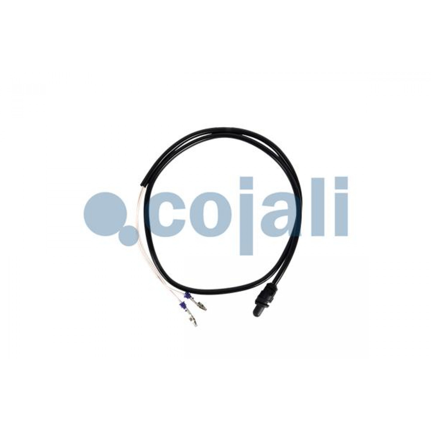 Sensor, buitentemperatuur COJALI 2260935