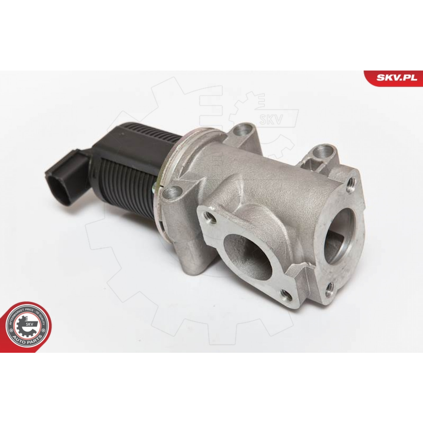 ESEN SKV Valvola AGR 14skv055 Per Opel, Fiat, Alfa Romeo | 2 Poli 12V Elettrica