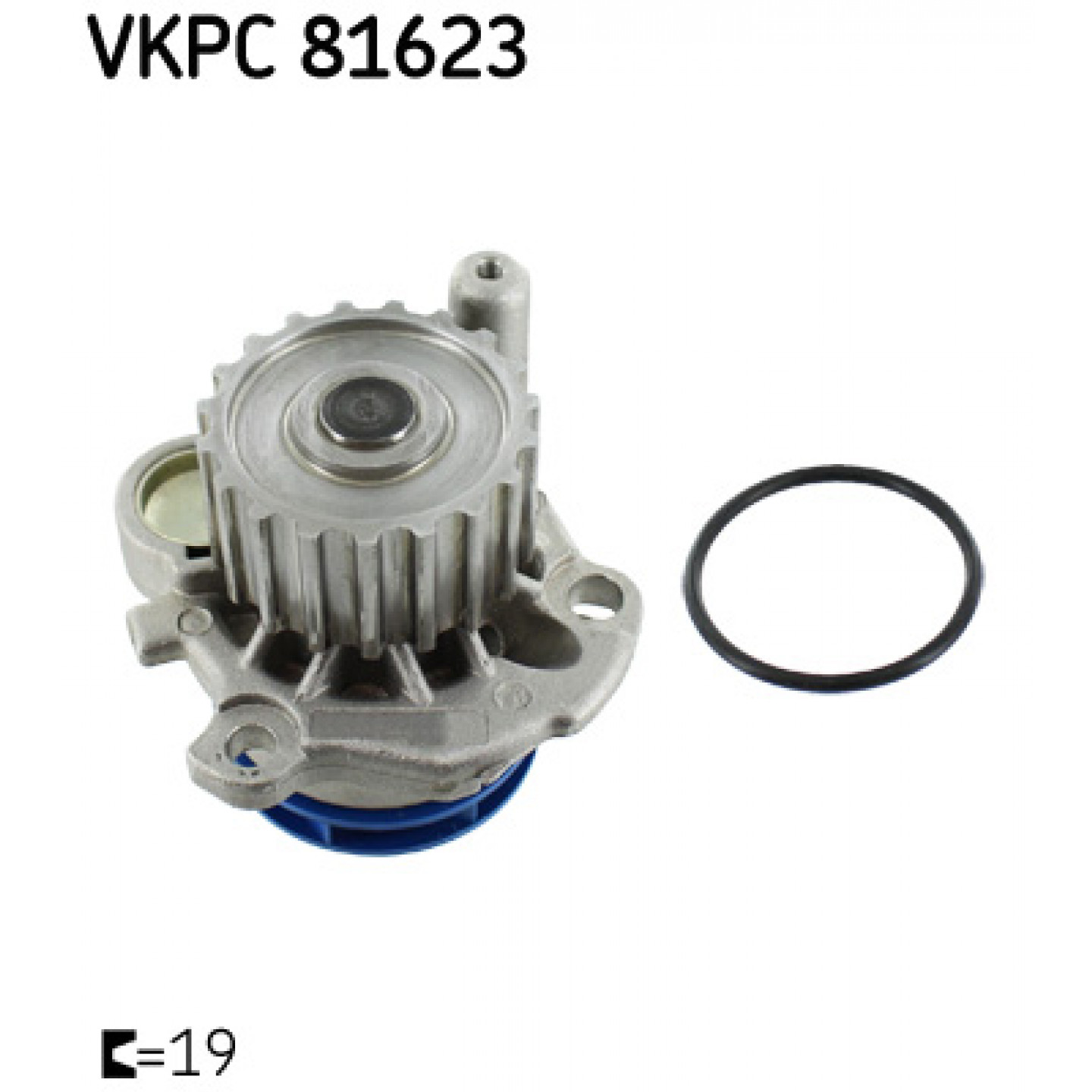Wasserpumpe SKF VKPC 81623