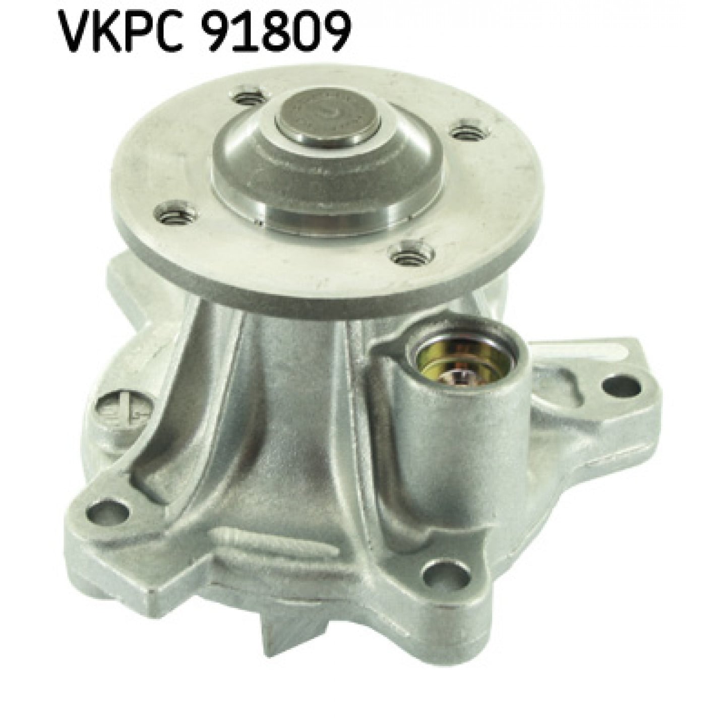 Waterpomp SKF VKPC 91809