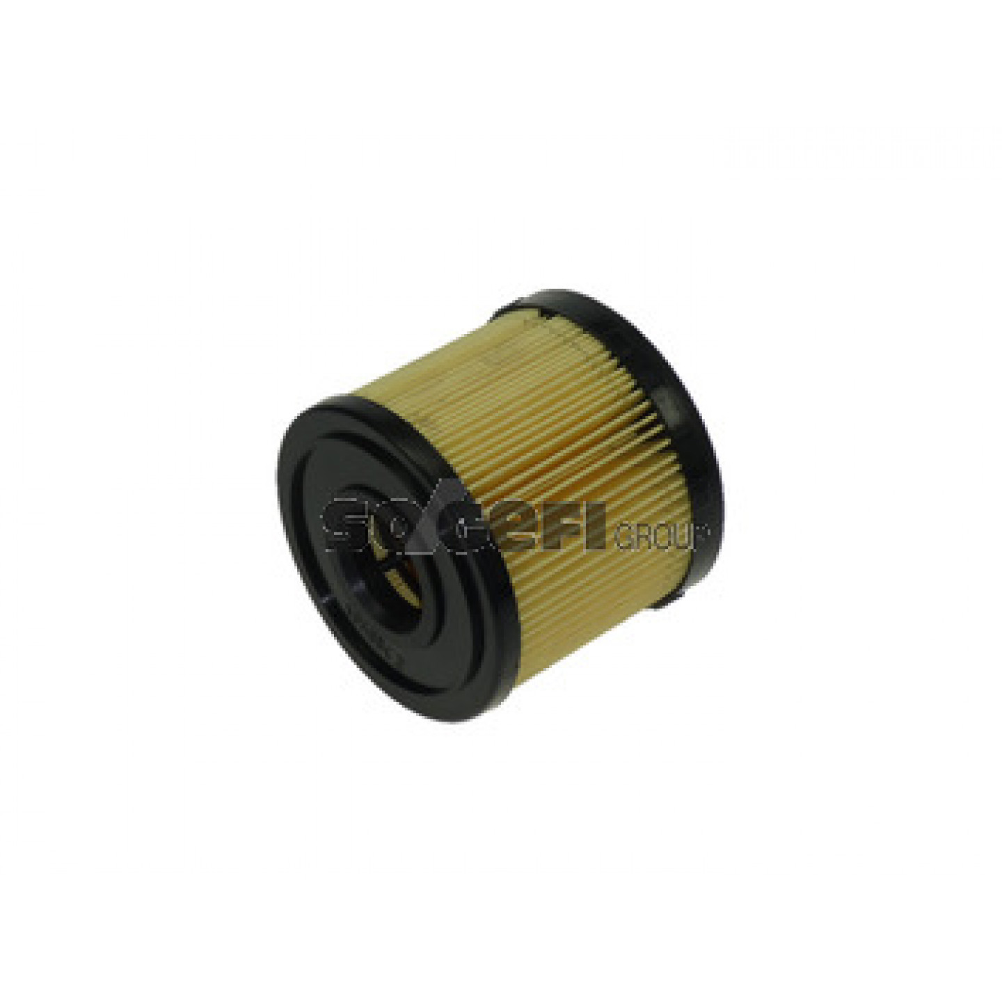 Kraftstofffilter FRAM CG8953ECO