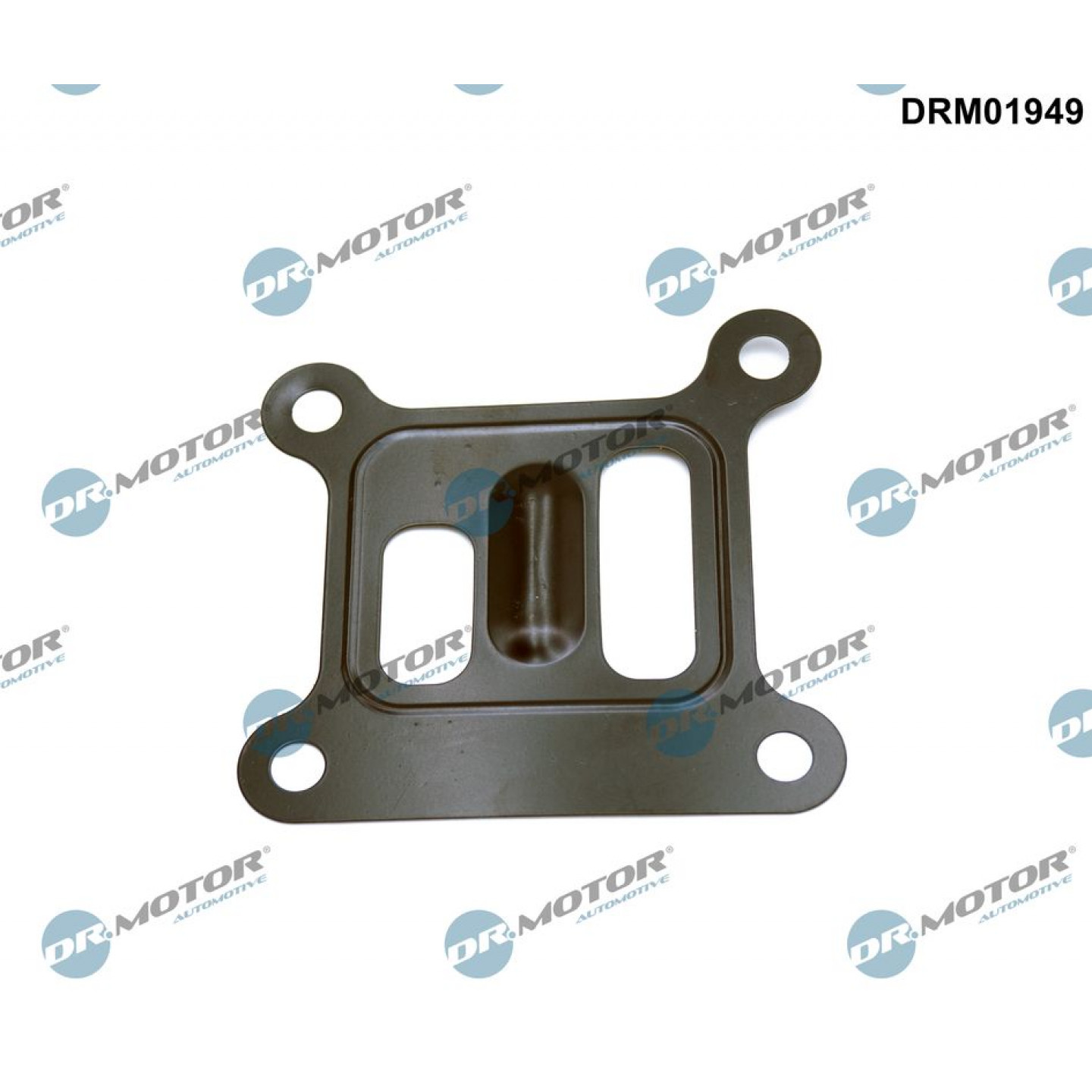 Pakking, waterpomp Dr.Motor Automotive DRM01949