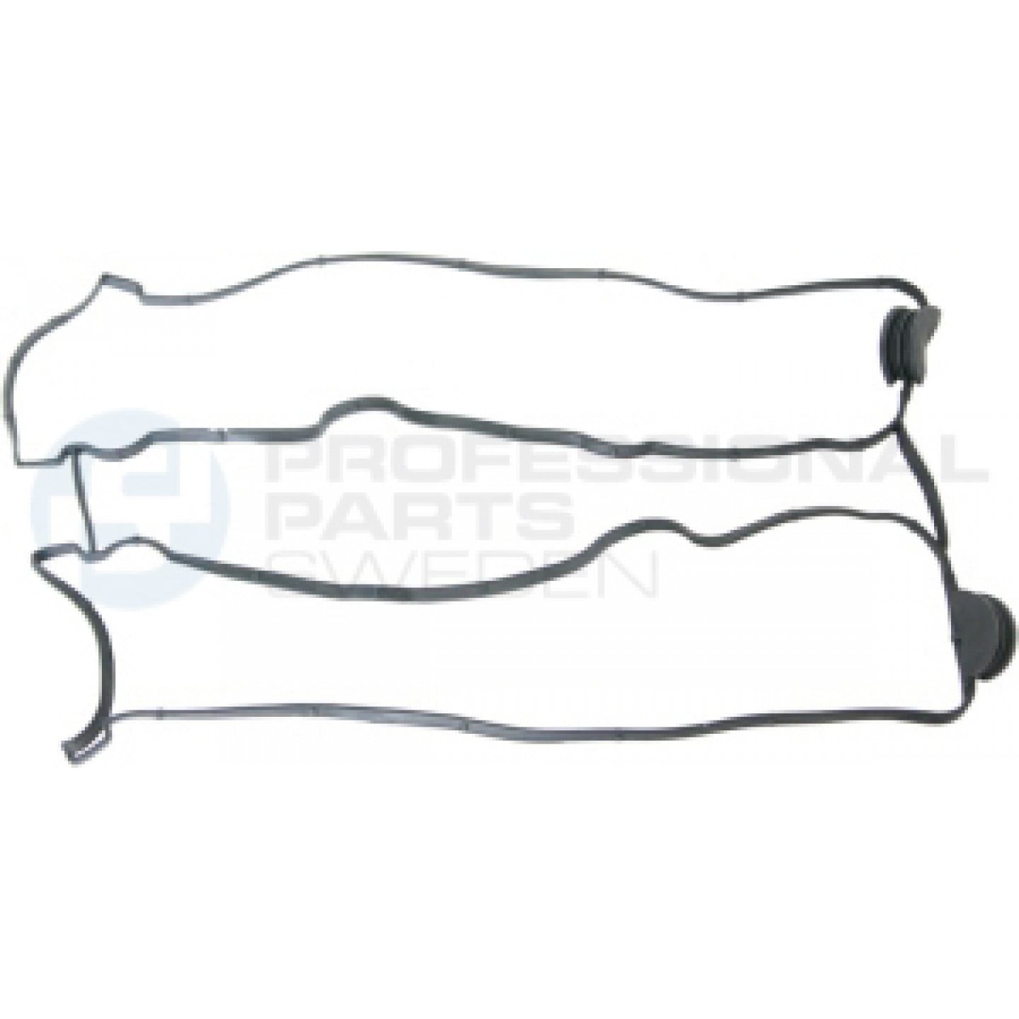 Klepdekselpakking Professional Parts 21340040