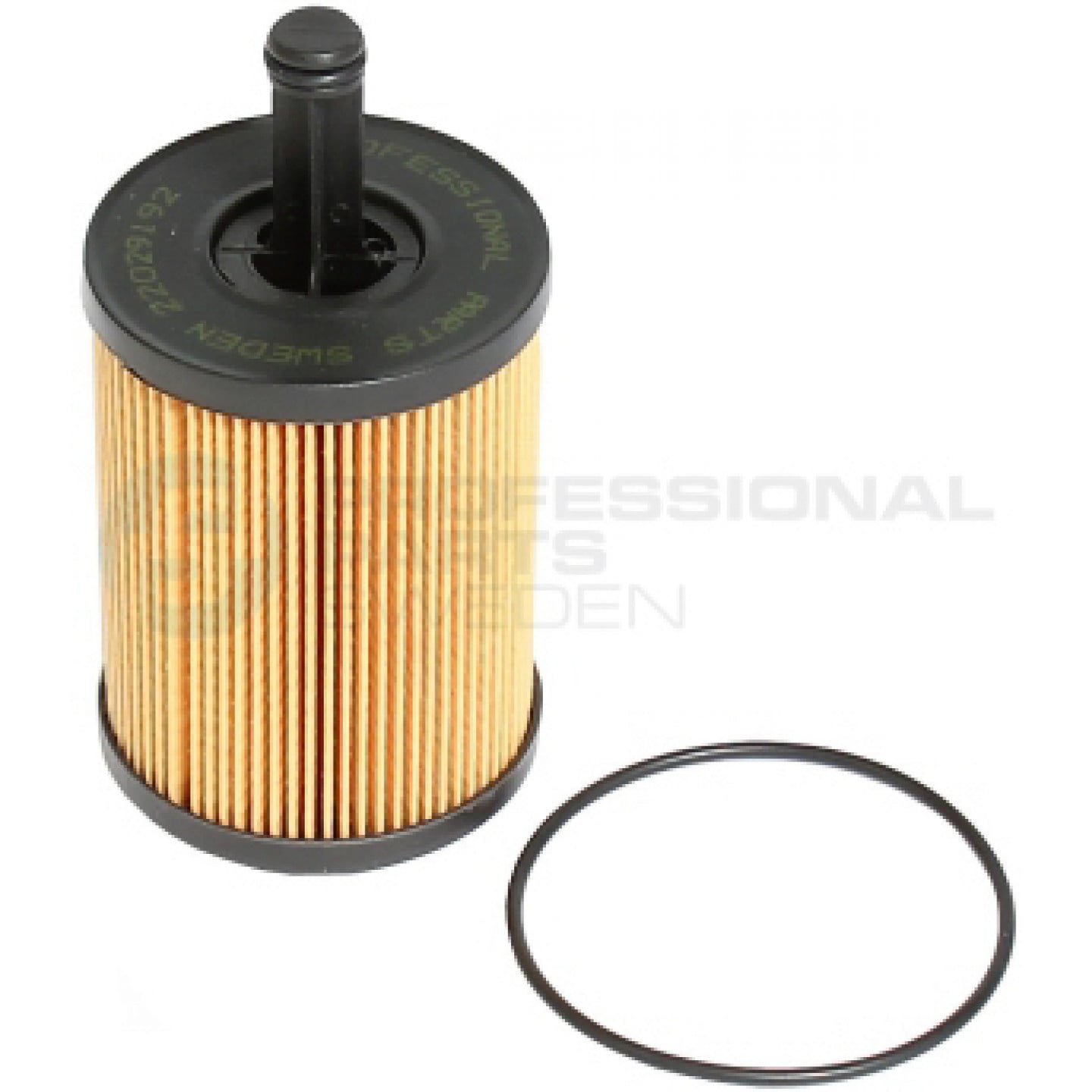 Oliefilter Professional Parts 22029192