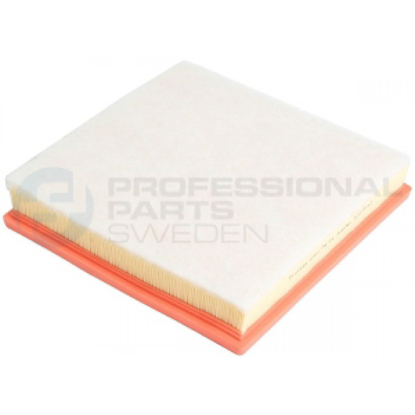 Luchtfilter Professional Parts 24270163