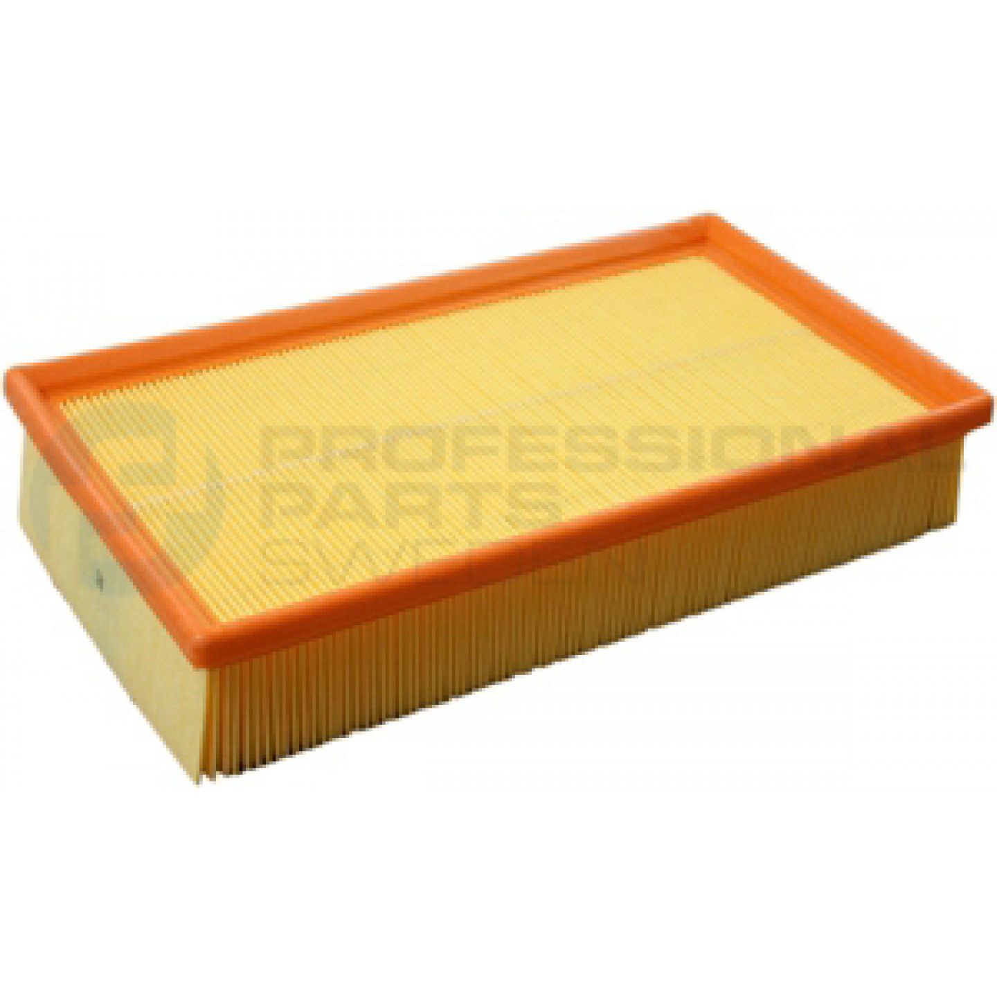 Luftfilter Professional Parts 24341971
