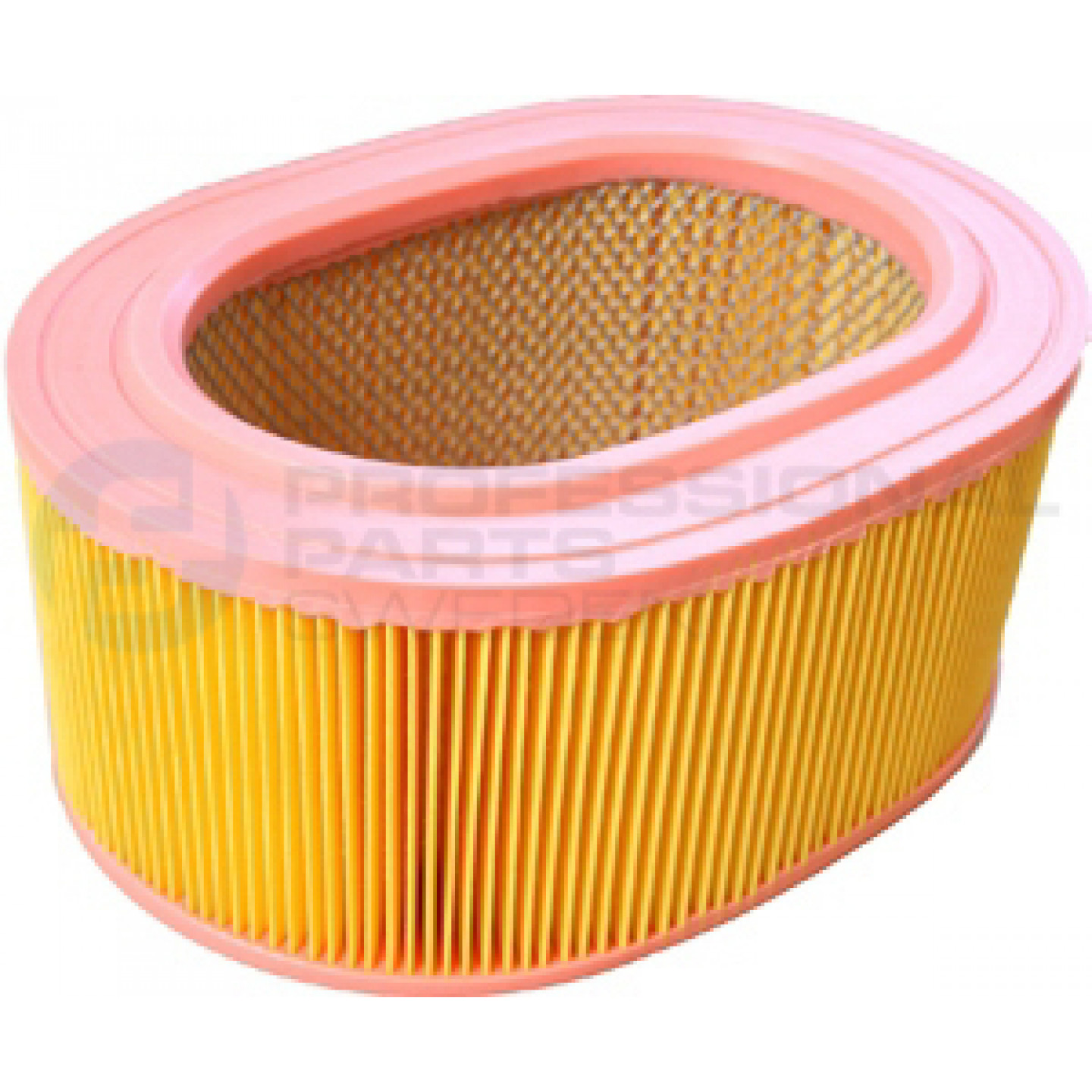 Luftfilter Professional Parts 24436825