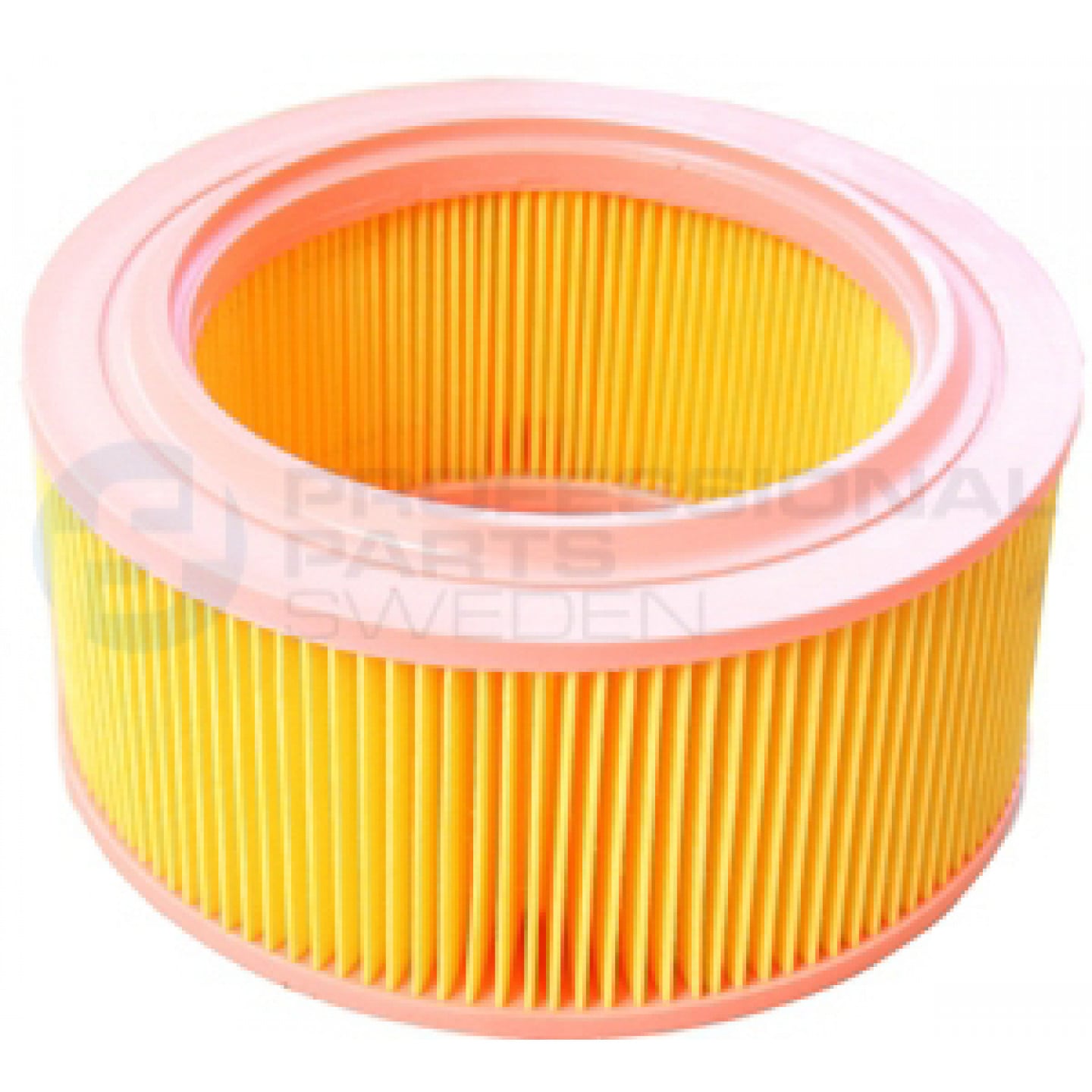 Luftfilter Professional Parts 24437936