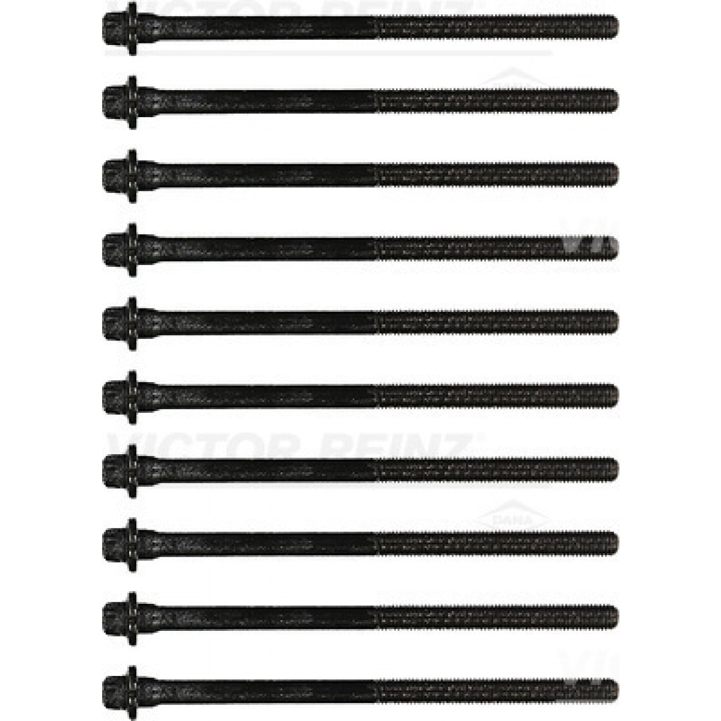 サイズ確認 Bolt Kit, cylinder head REINZ 14-32075-01 - Trodo.com