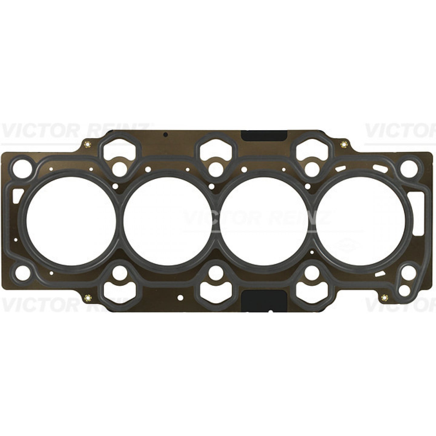 Reinz Guarnizione, Testata 61-10101-00
