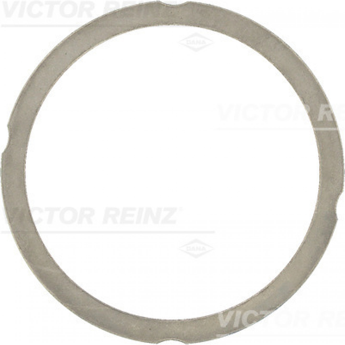 Dichtung, Zylinderkopf REINZ 61-25475-50