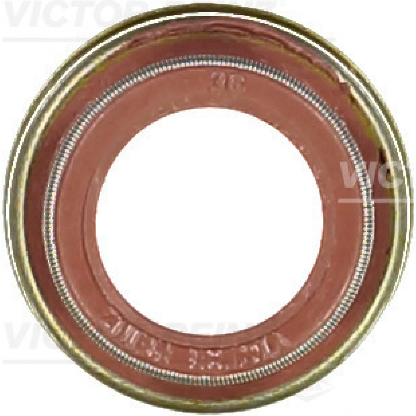Klepsteelpakking REINZ 70-23096-10