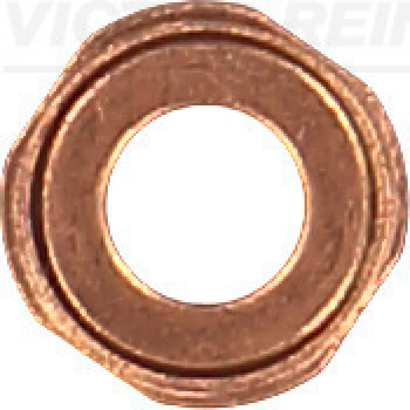 Retentor, válvula injetora REINZ 70-40984-00