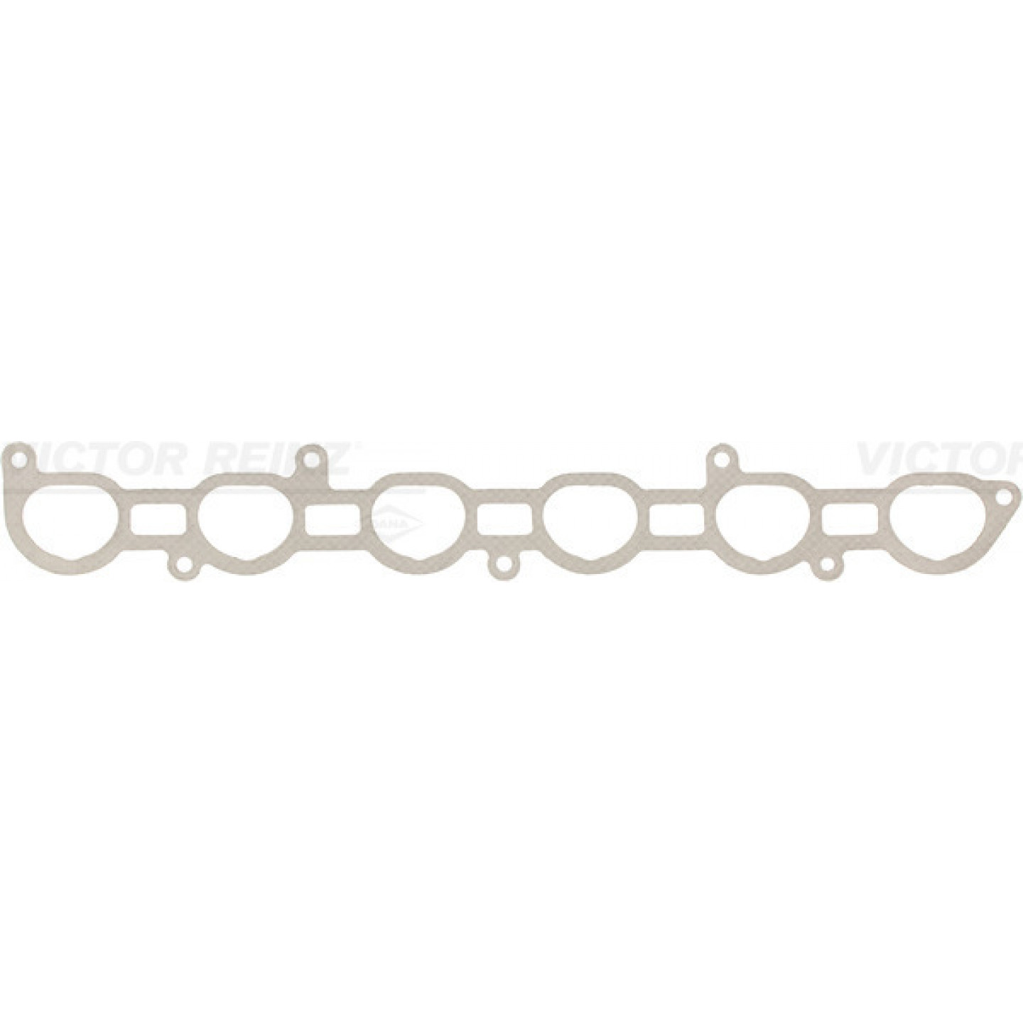 Pakning, indsugningsmanifold REINZ 71-36749-00