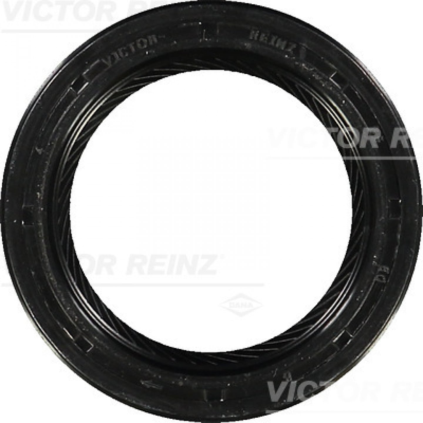 Shaft Seal, camshaft REINZ 81-26244-10 - Trodo.com