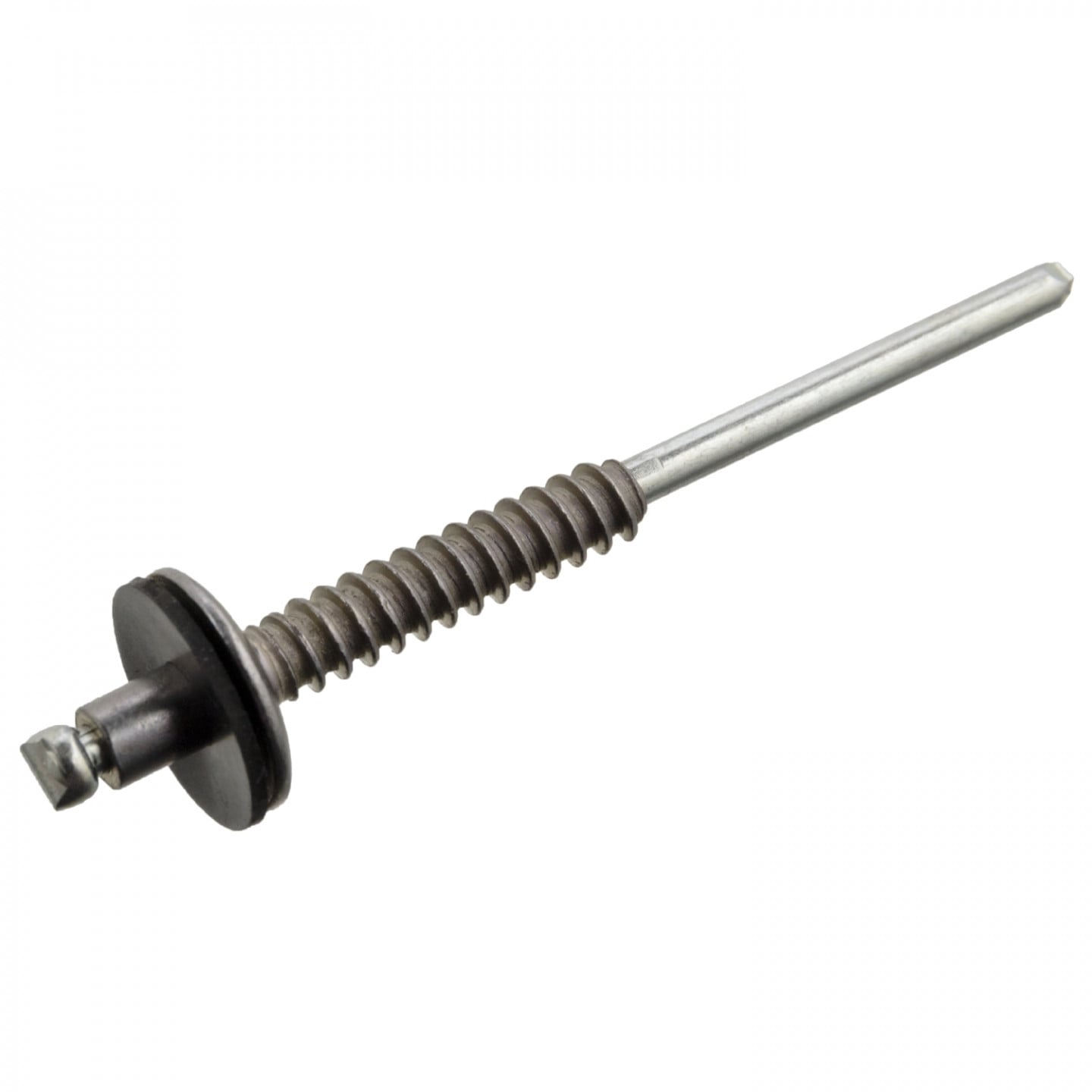 Blindniet FEBI BILSTEIN 104109