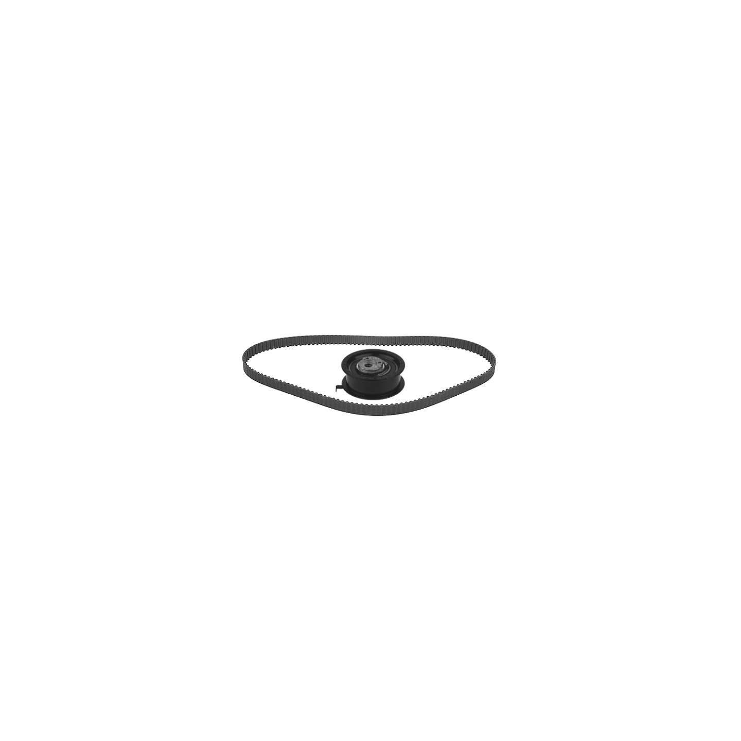 Distributieriemset FEBI BILSTEIN 21238