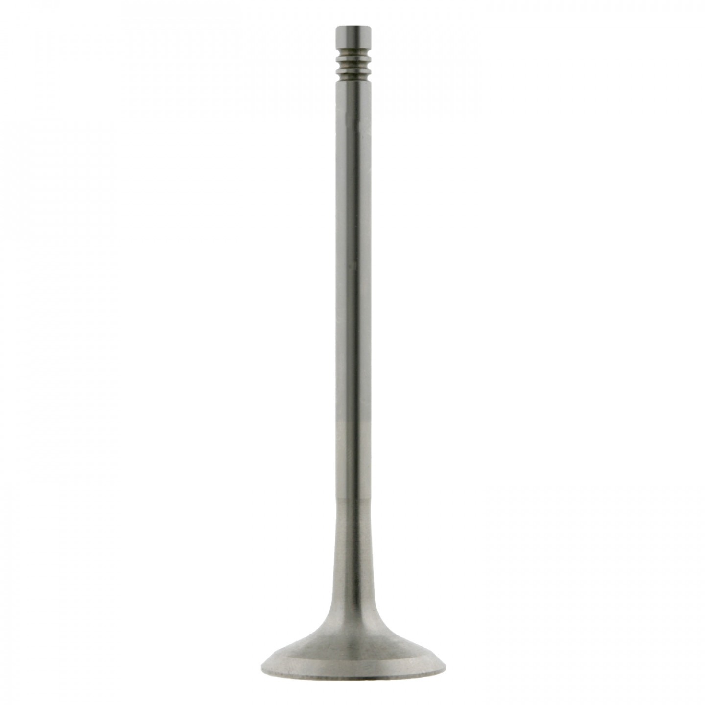 Zawór wylotowy FEBI BILSTEIN 24161