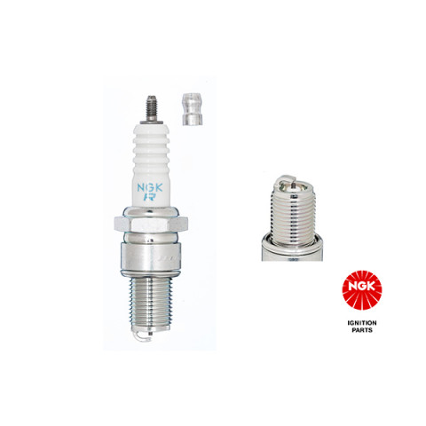 Spark Plug NGK 3130- Trodo.com